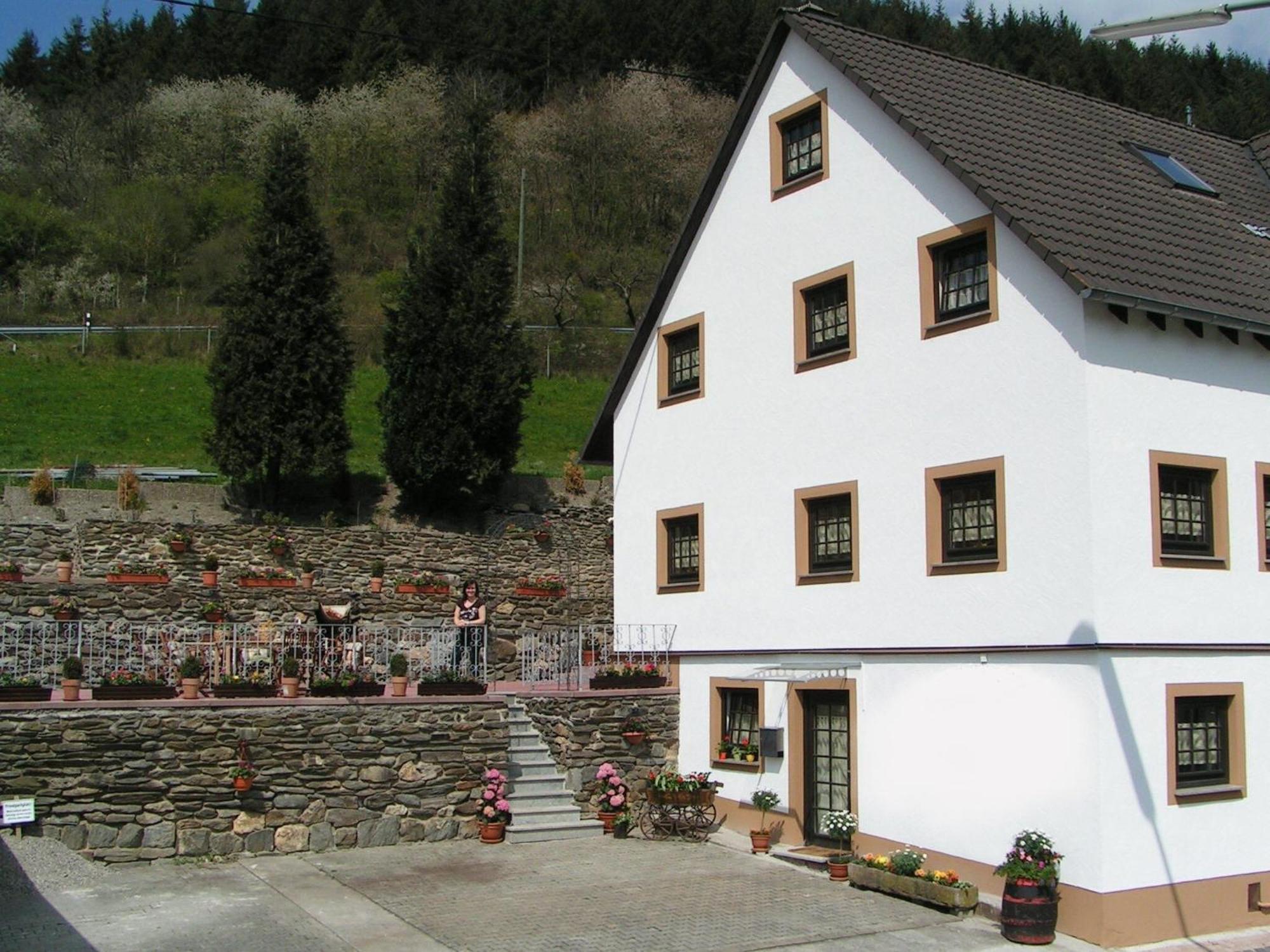 A Modern Apartment In The Hunsr Ck Region S Romantic Drohn Valley Merschbach Eksteriør billede